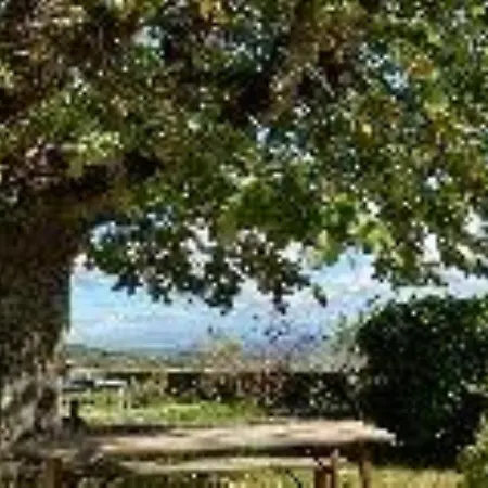 Chateau De Et Table D'hotes 3* Riverie