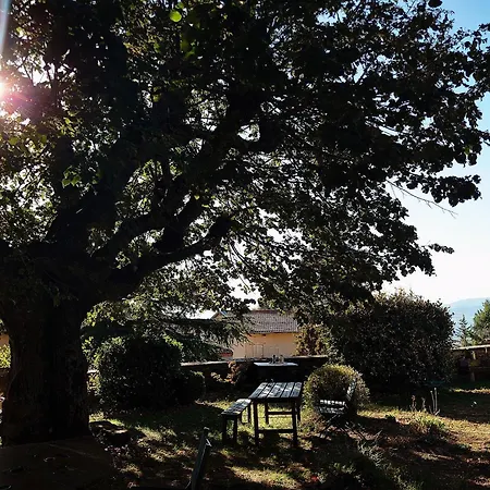 Chateau De Et Table D'hotes 3* Riverie